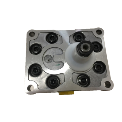 Danfoss Gear Pump 111.25.071.0C SNP3NN055RN01BAP1F6F6NNNNNNNNN Low Noise Compact Design Silver Diverse Configurations