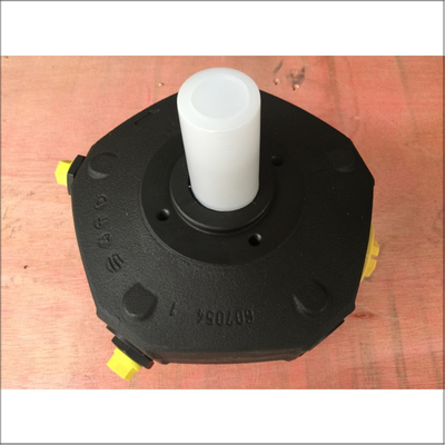 Rexroth PR4-30 8.00-700RA01M02 Mechanical Hydraulic Pump With Fast Shipping Cast Iron Material Available For Industrial
