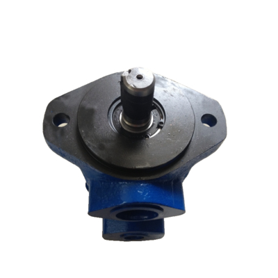 METARIS V10-1P2P-001C-20-F3 Vane Pump Stable Flow‌ ‌Low-noise 100% New